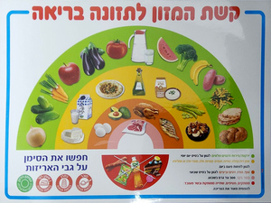 פלקט למינציה קשת המזון לתזונה בריאה