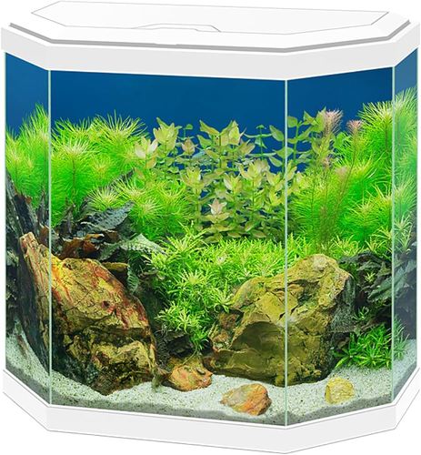 ציאנו אקווריום Ciano Aqua 30 White