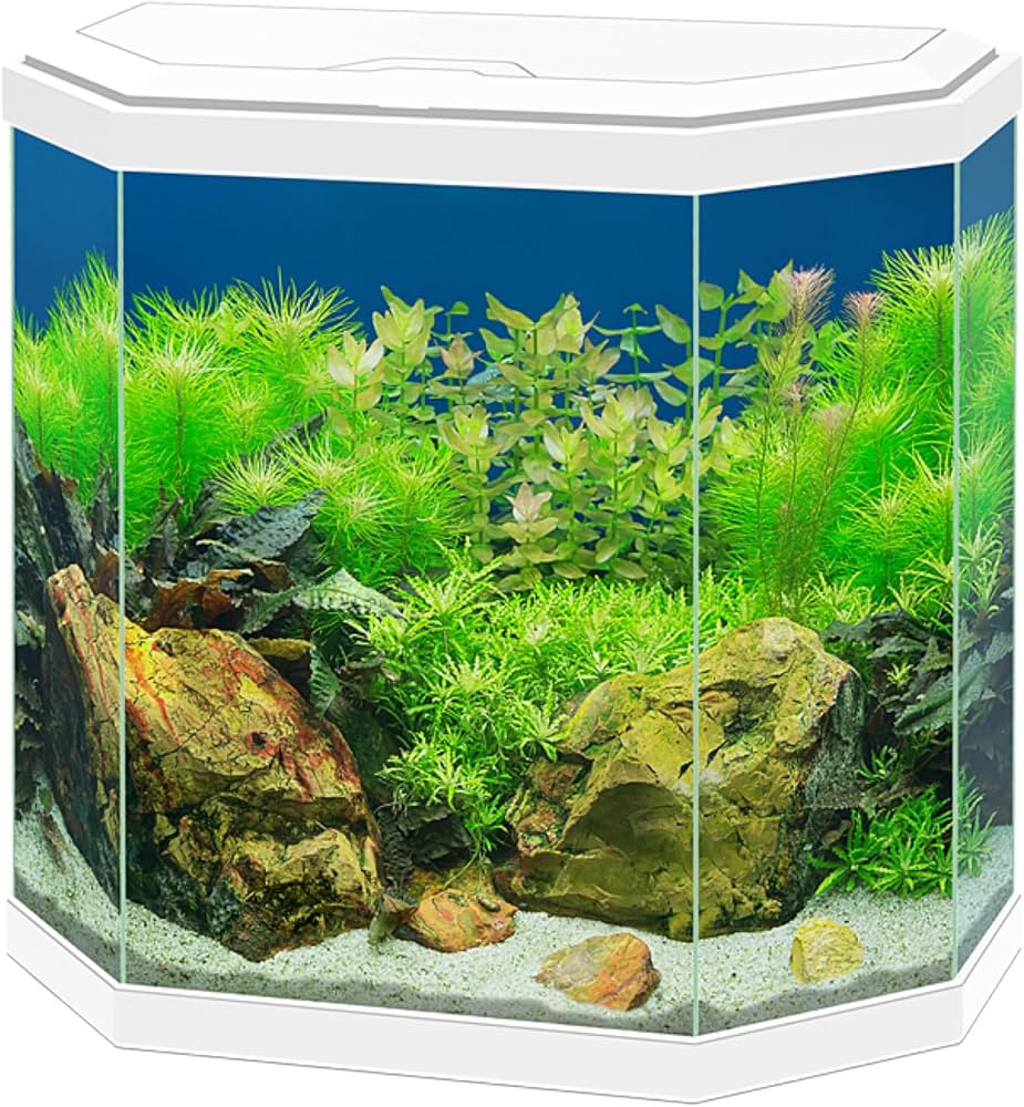 ציאנו אקווריום Ciano Aqua 30 White