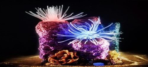 דקורציה לאקווריום Reef Dancer 