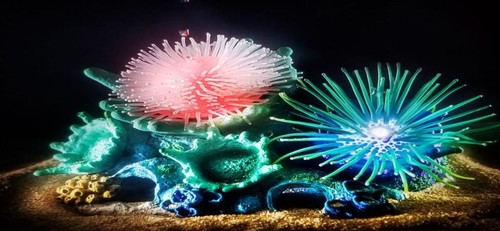 דקורציה לאקווריום Reef Dancer 