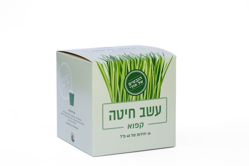 עשב חיטה קפוא - אודי