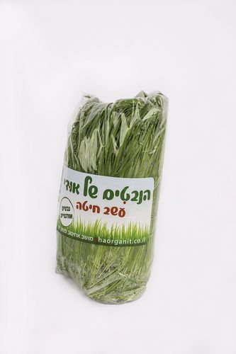 עשב חיטה של אודי