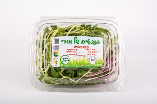 מיקס נבטים של אודי