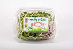 מיקס נבטים של אודי