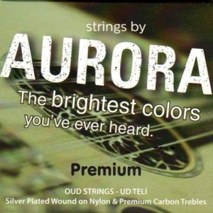 סט מיתרים לעוד F-F AURORA AU10F FA FA MEDIUM