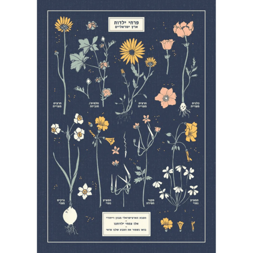 הדפס : Botanical Chart A4