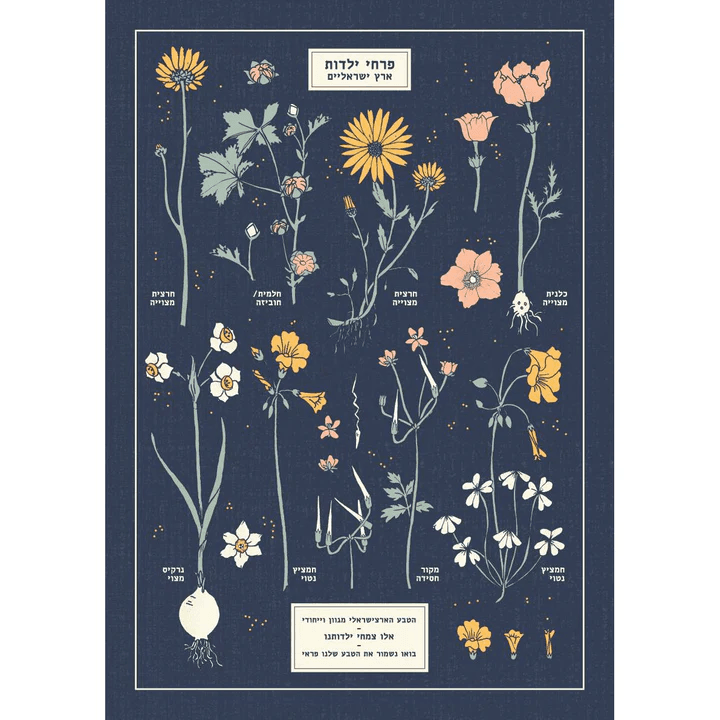 הדפס : Botanical Chart A4