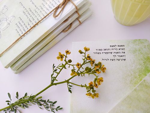 מחברת השראה כל אשה צריכה אחות