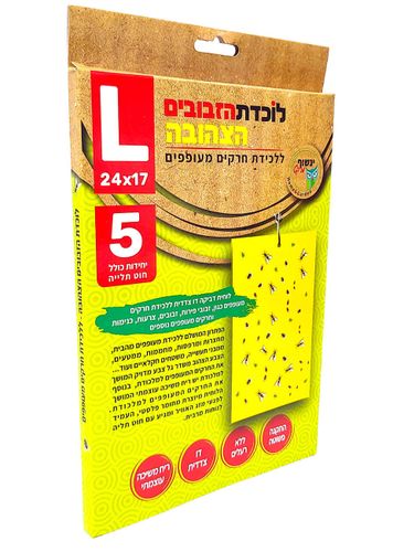 לוכדת הזבובים הצהובה