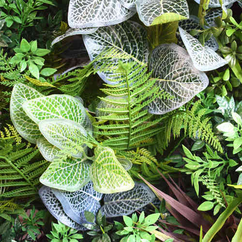 קיר ירוק מלאכותי Nerve Plant