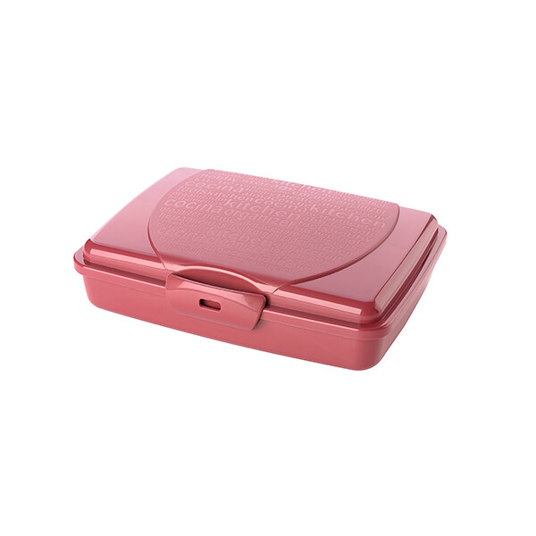 קופסא שטוחה לסנדוויץ 750 מ"ל  צבעוני תורכי  TITIZ  9268 Y.Col.