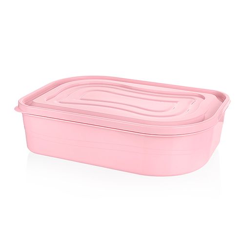 קופסא פלסטיק 2850 מ