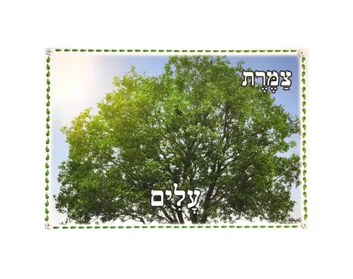 ערכת תמונות - העץ וחלקיו