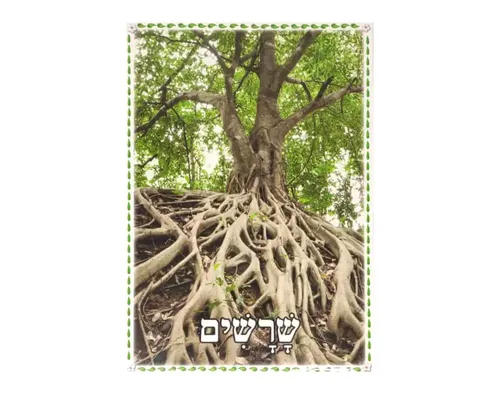 ערכת תמונות - העץ וחלקיו