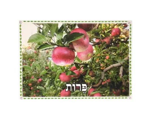 ערכת תמונות - העץ וחלקיו