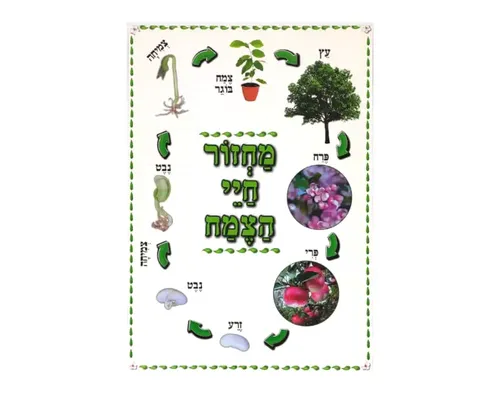 ערכת תמונות - העץ וחלקיו