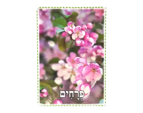 ערכת תמונות - העץ וחלקיו