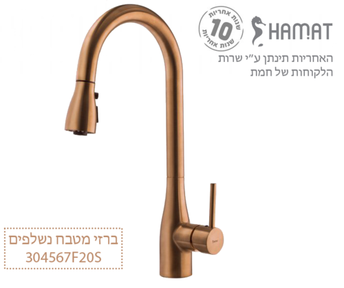 304567 F20S רוז גולד