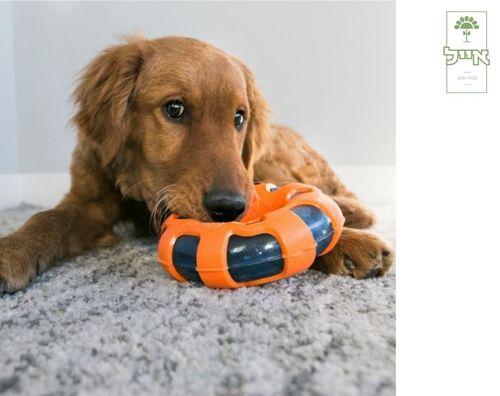 צעצוע טבעת | KONG | L