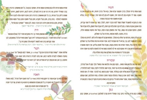 חדש- ברכון לט