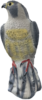 דחליל מבהיל דמוי נץ