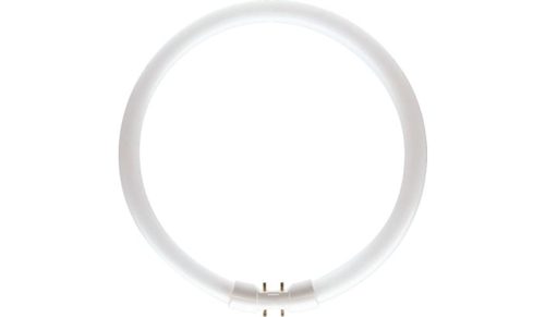 MASTER TL5 Circular 60W/830 Philips 
