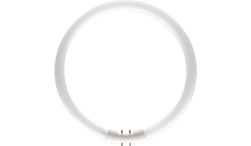 MASTER TL5 Circular 60W/840 Philips 
