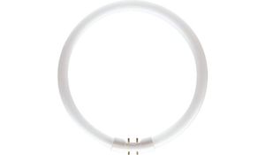 MASTER TL5 Circular 60W/840 Philips