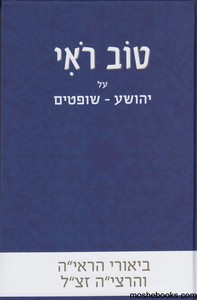 טוב ראי