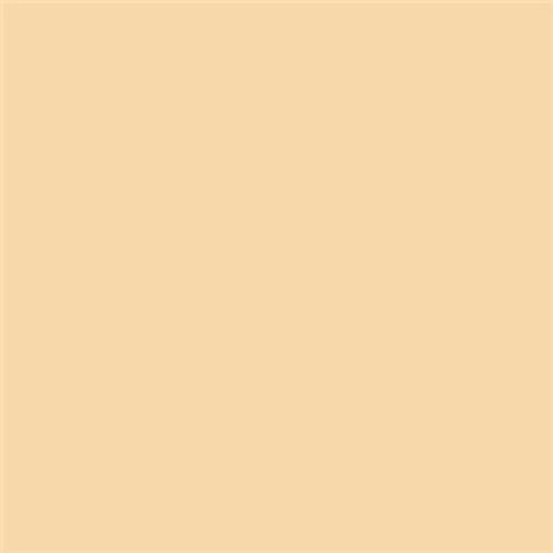  רקע נייר 10-25 Savage Paper 2.7x11 Beige