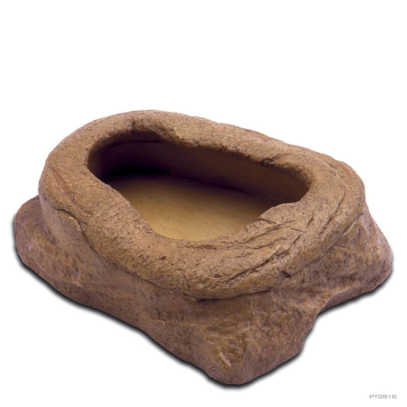 כלי אוכל עם מכסה לזוחלים
