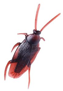 מקק צעצוע חום עם מחושים 6 ס"מ