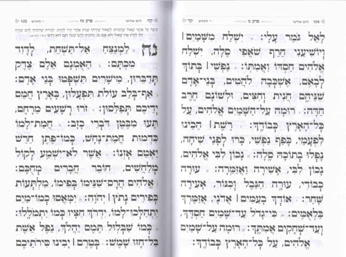 תהילים- דגם מגדל דוד
