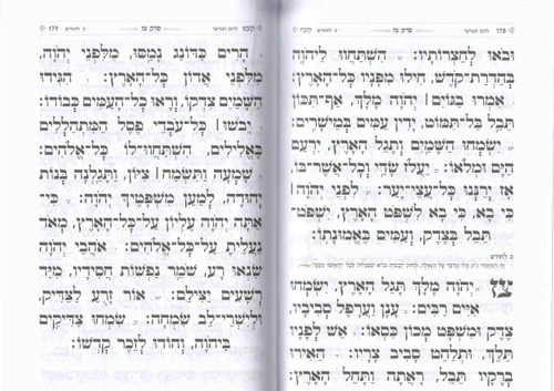 תהילים- דגם מגדל דוד