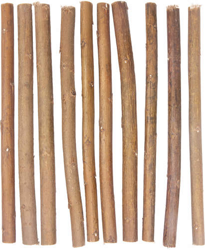 מקלות עץ כרסום טבעי לתוכים WILLOW S פלמינגו