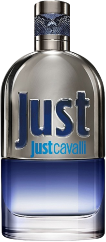 Roberto Cavalli Just Cavalli  90ML EDT רוברטו קאוולי ג'אסט קאוולי לגבר