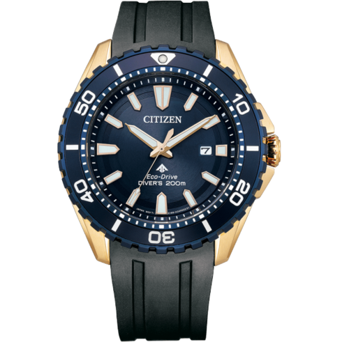 Citizen BN0196-01L Promaster צלילה 200 מטר אקו דרייב