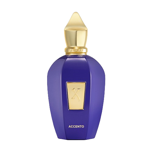 Xerjoff Accento 100ML EDP סרג'וף אסנטו יוניסקס