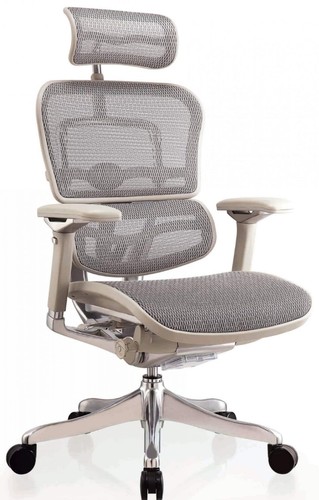 כיסא משרד ארגונומי Comfort Ergohuman Plus