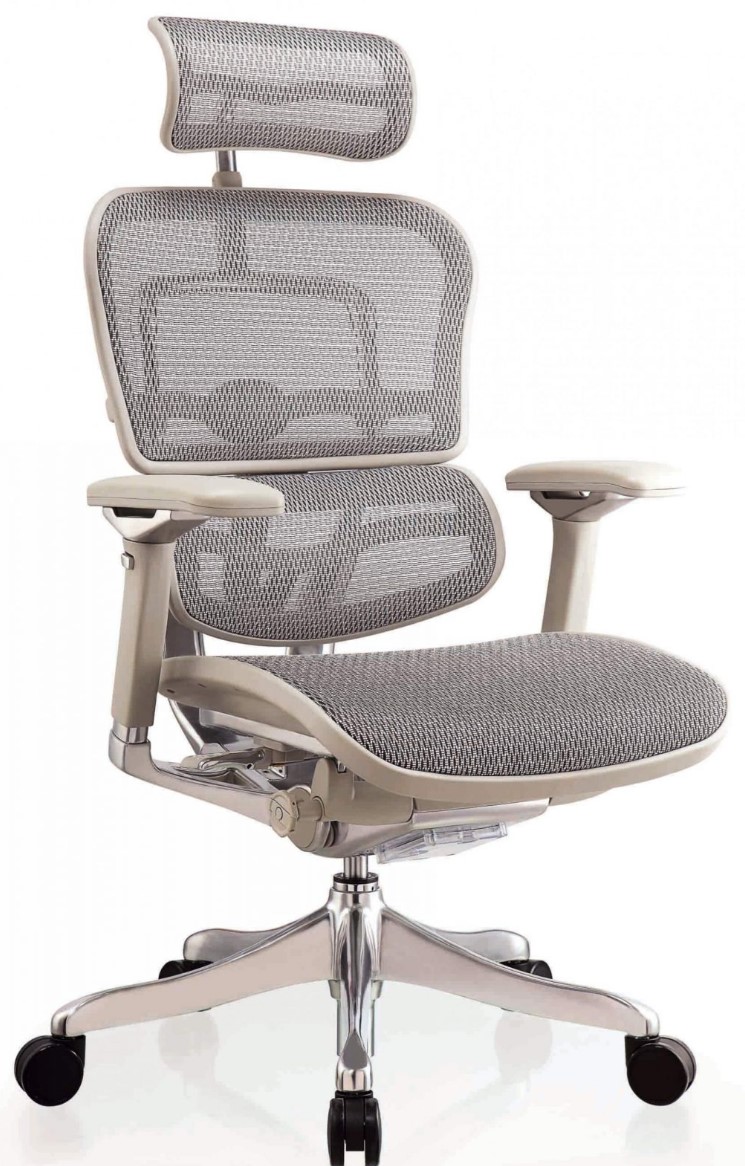 כיסא משרד ארגונומי Comfort Ergohuman Plus