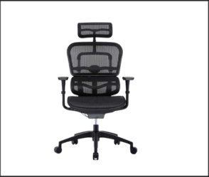כיסא Ergohuman