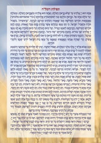 50 יחידות זבד הבת בעיצוב אישי
