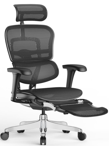 כיסא משרד ארגונומי Comfort Ergohuman Pro