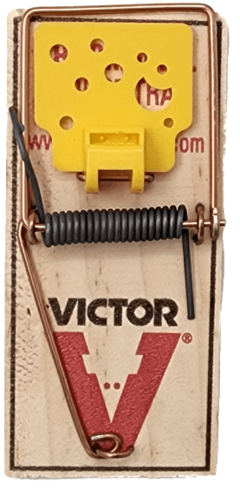 מלכודת קפיץ VICTOR המקורית לעכברים זוג - מנגנון קפיץ מתקדם לתפיסה מיידית ויעילה, עיצוב בטוח ועמיד לשימוש ביתי ומקצועי