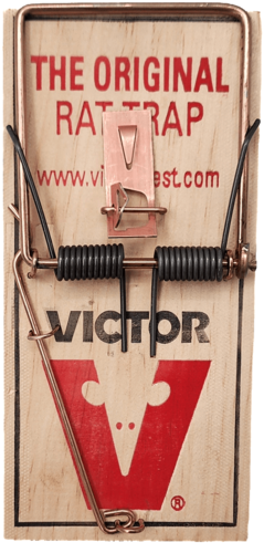 מלכודת קפיץ VICTOR מקורית לחולדות עשויה עץ איכותי מארה