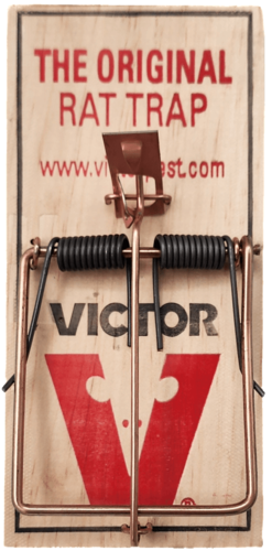 מלכודת קפיץ VICTOR מקורית לחולדות עשויה עץ איכותי מארה
