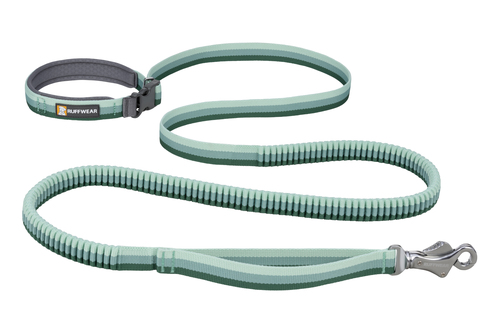 Roamer™ Bungee Leash