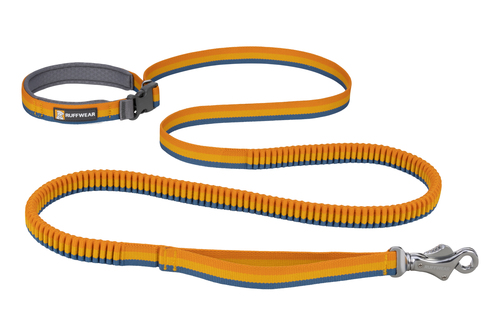 Roamer™ Bungee Leash