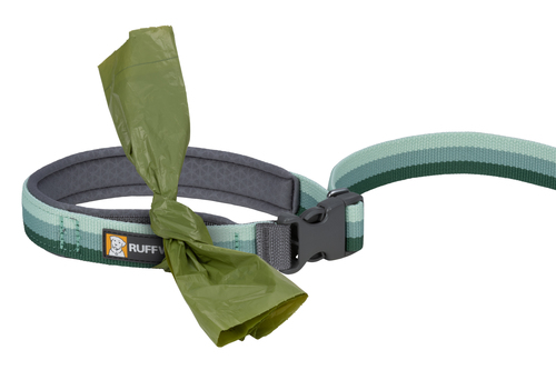 Roamer™ Bungee Leash